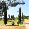 Villa Dora Essential