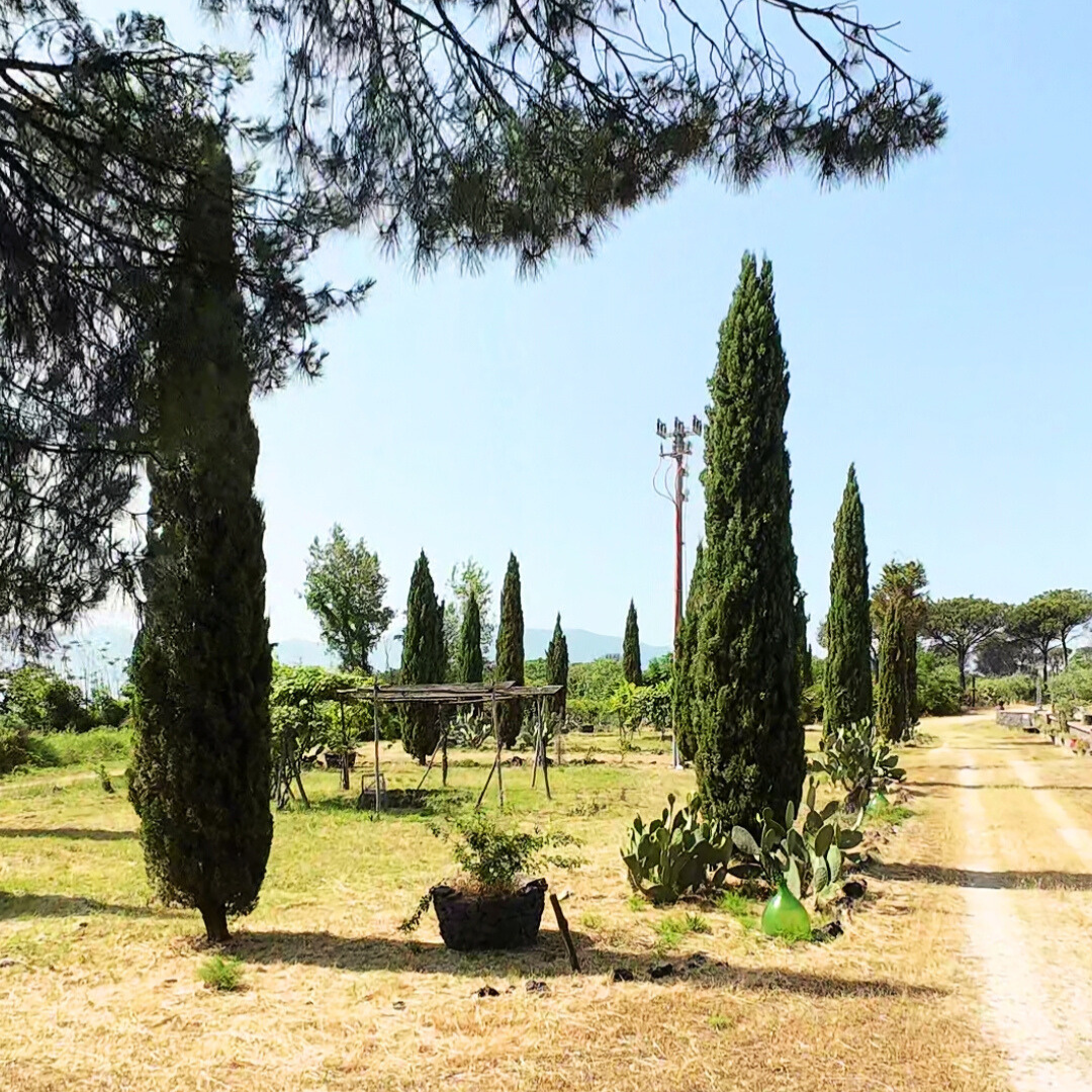 Villa Dora Essenziale